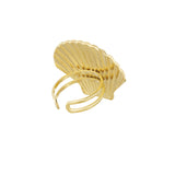 Anillo Shell
