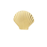 Anillo Shell