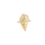 anillo concha de mar