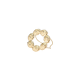 Anillo Lis