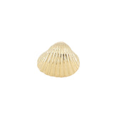 anillo caracola