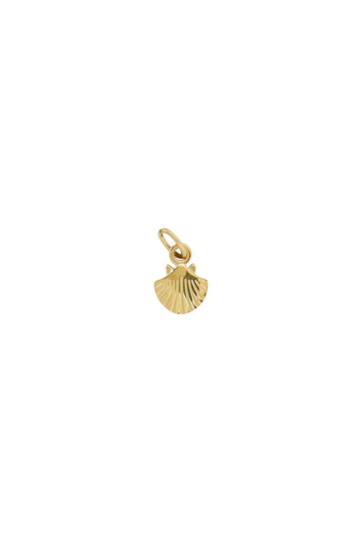 charm conchita