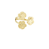 Unusual Ring