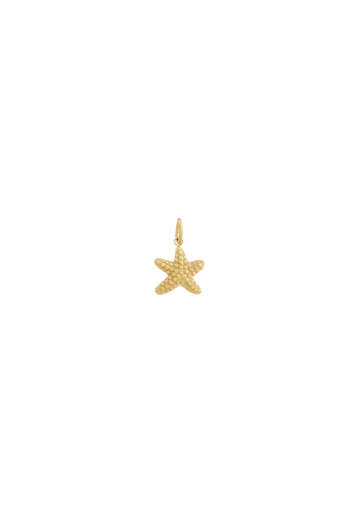 charm estrellita de mar