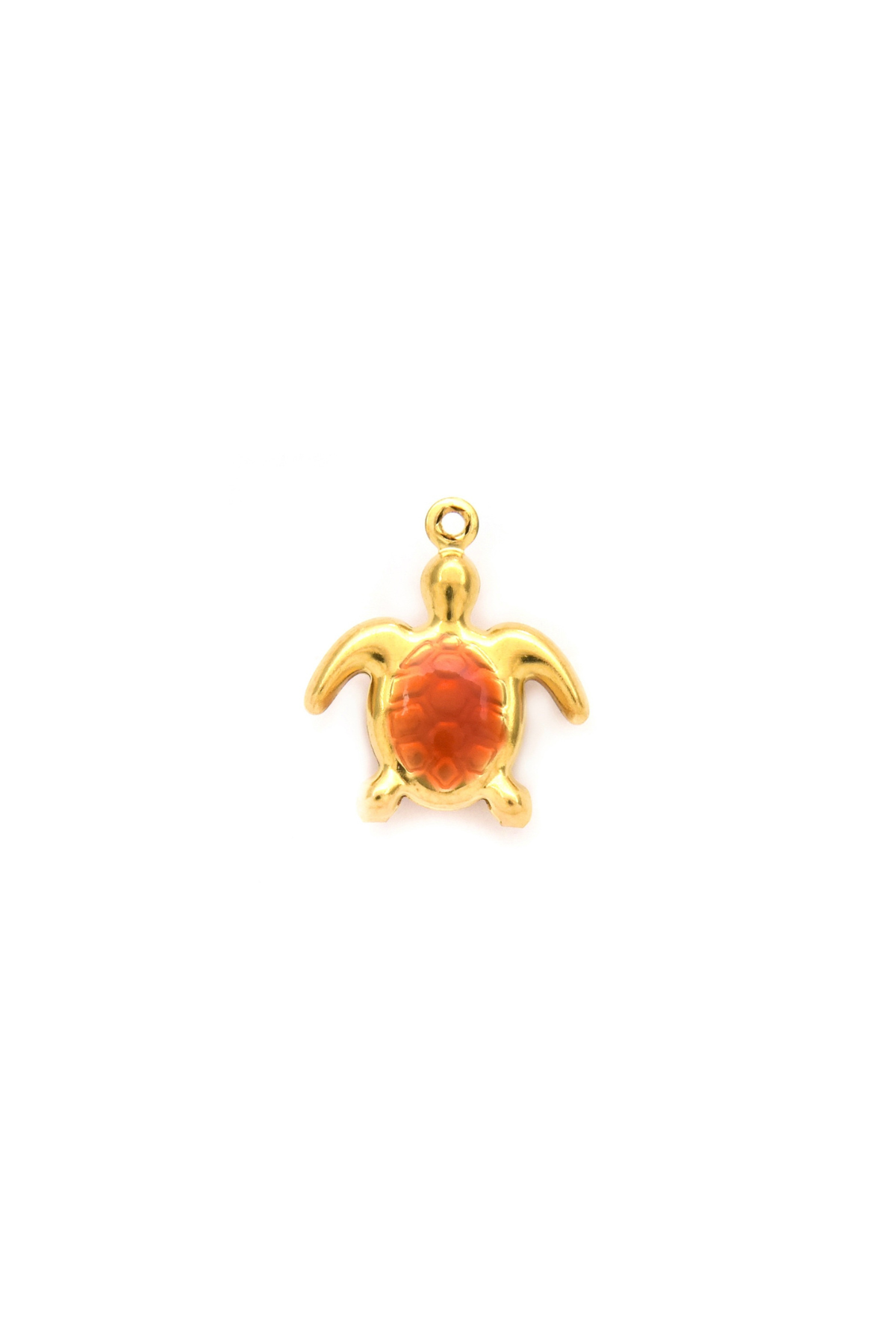 Tortuguita Charm
