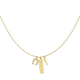 Spicy Charm Necklace