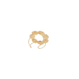 Anillo Lis