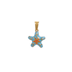 charm estrella de mar