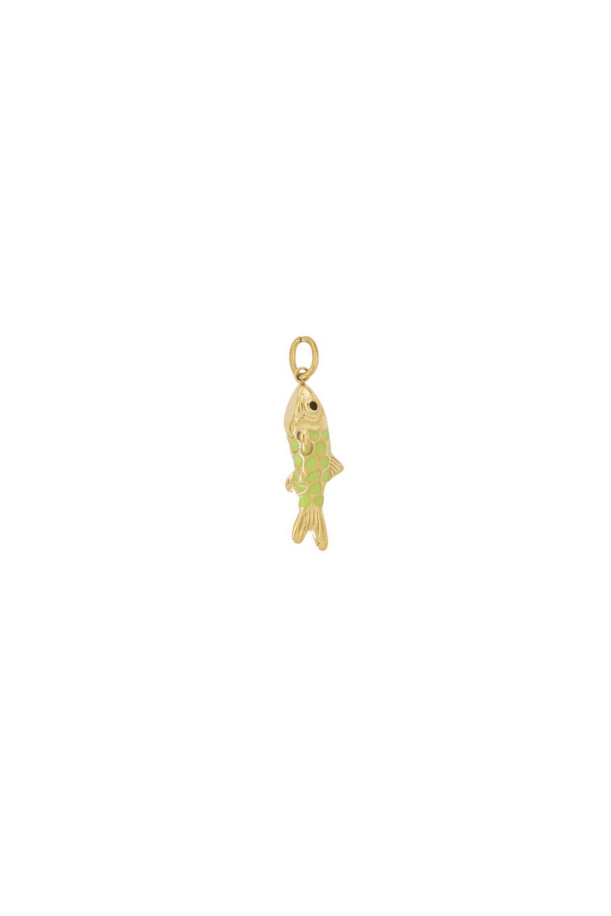 Charm Fish
