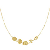 collar marino