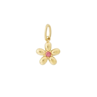 Flower - Rosa