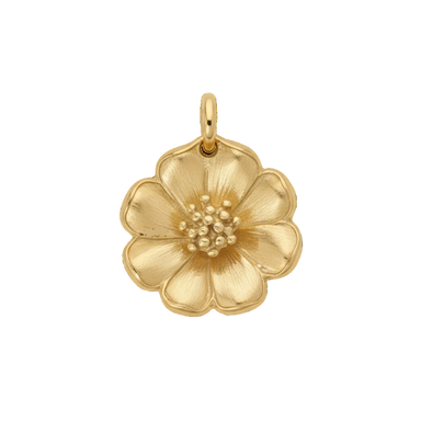 Flor