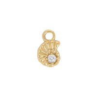 Spiral Shell