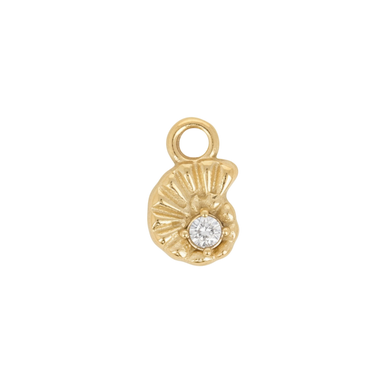 Spiral Shell