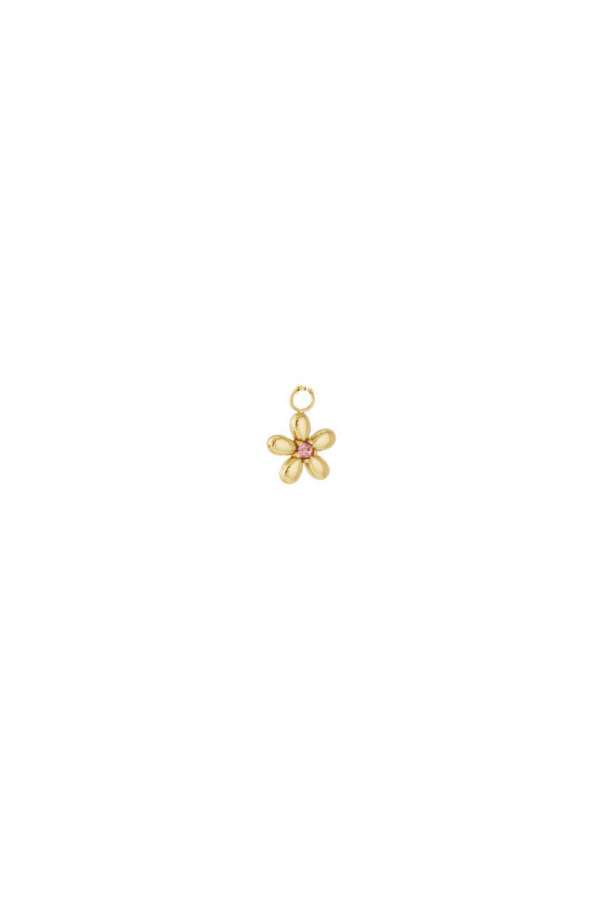 charm flor