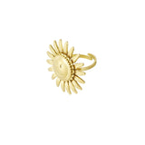 Anillo Shiny Smile