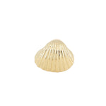 anillo caracola