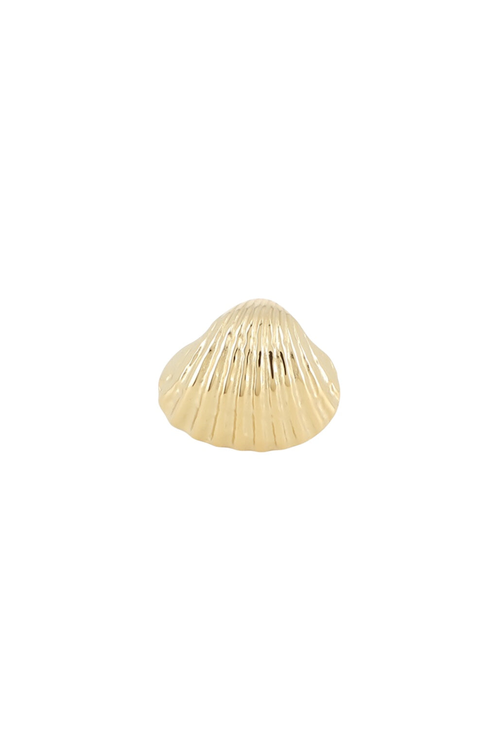 anillo caracola