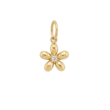 Flower - White