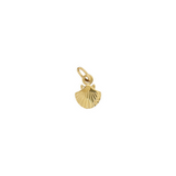 charm conchita