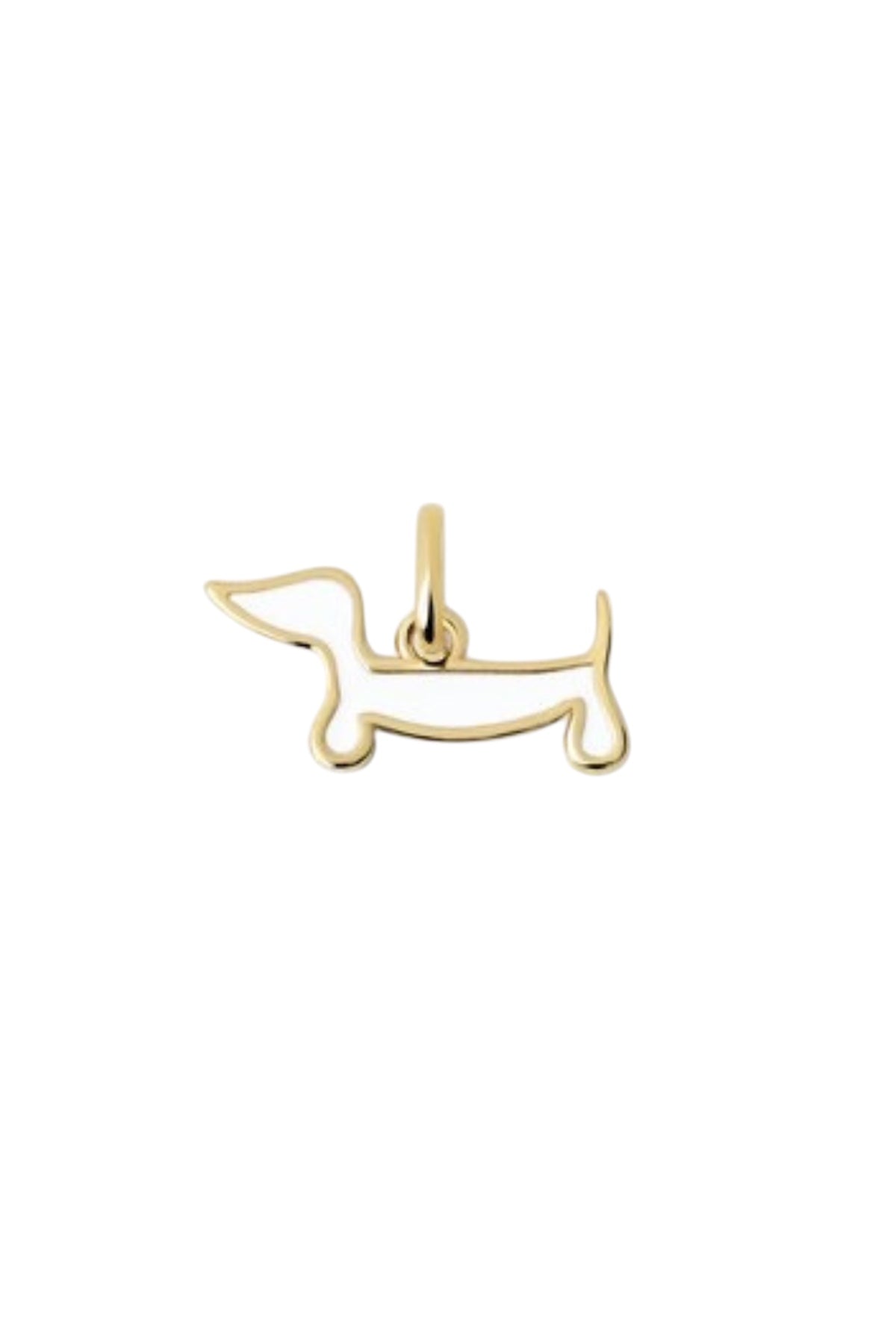 Salchi Charm