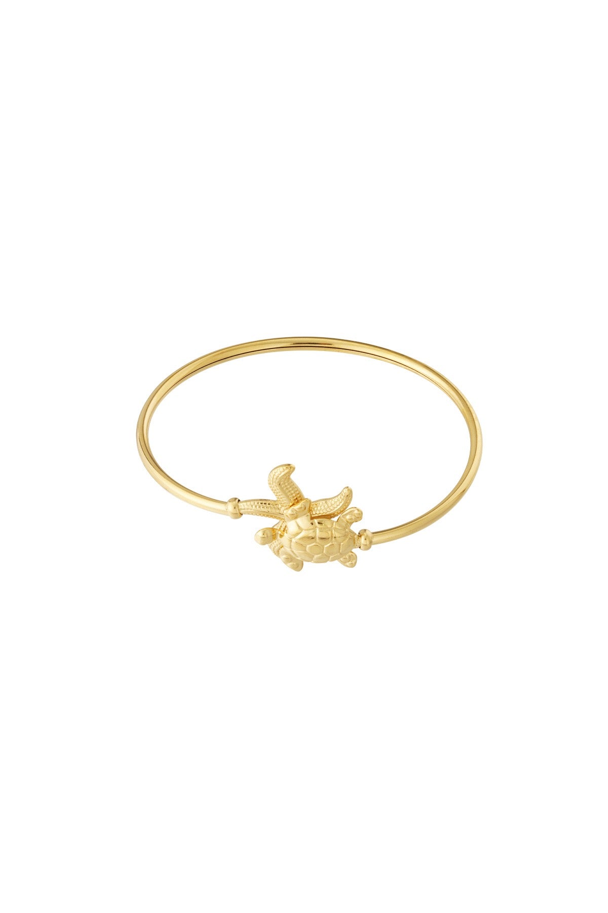 pulsera tortuga