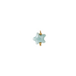 charm estrella de mar