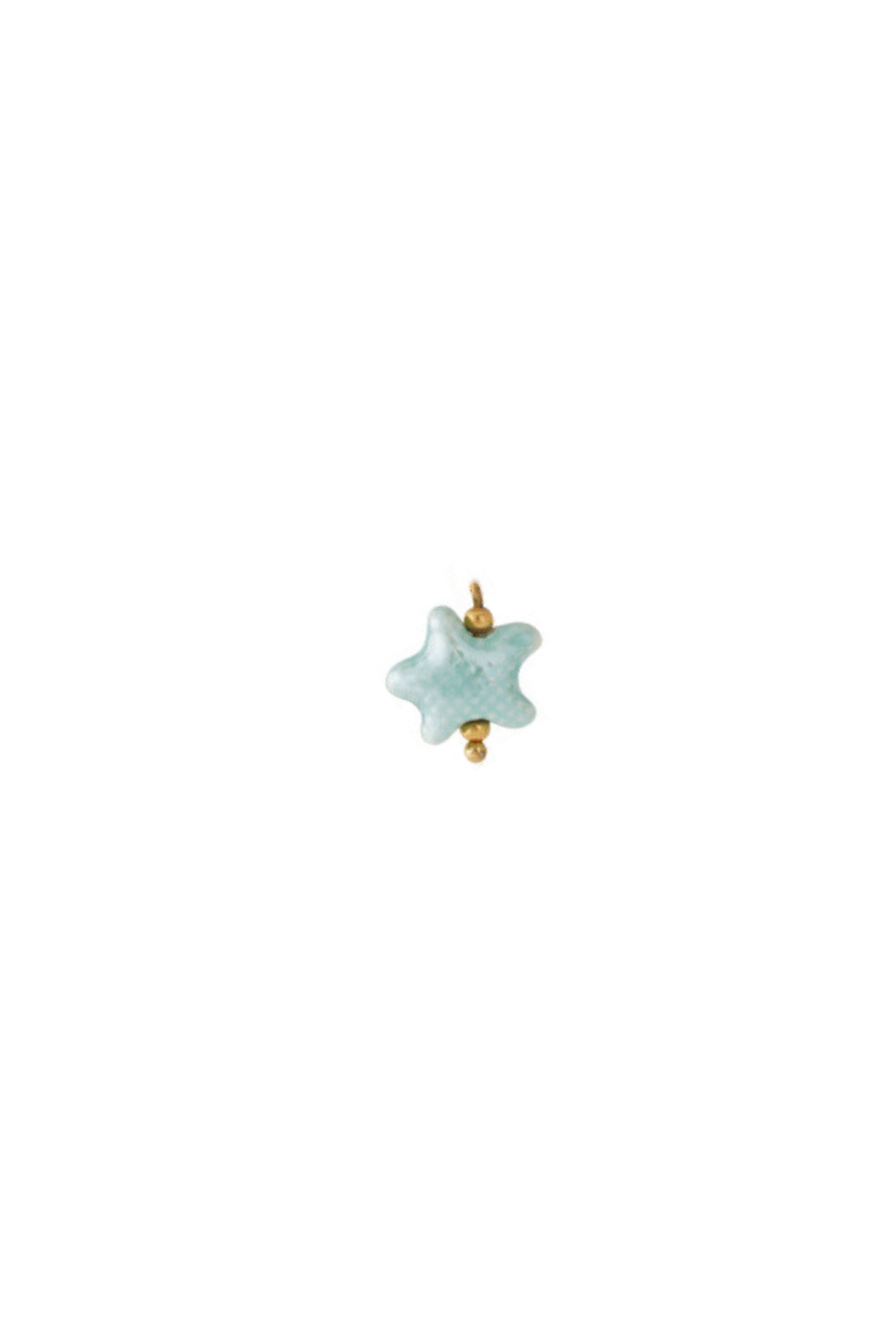 charm estrella de mar