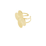 Anillo Lucky