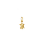 charm mini tortuga