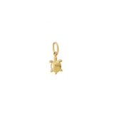 charm mini tortuga