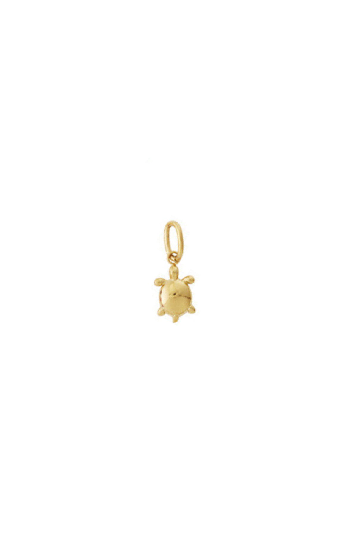 charm mini tortuga